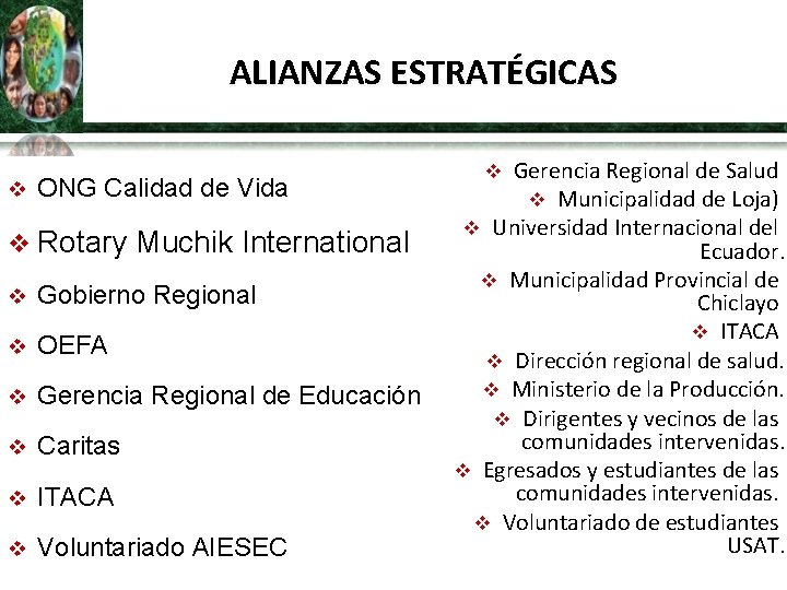 ALIANZAS ESTRATÉGICAS v ONG Calidad de Vida Internacional v Rotary Muchik International v Gobierno