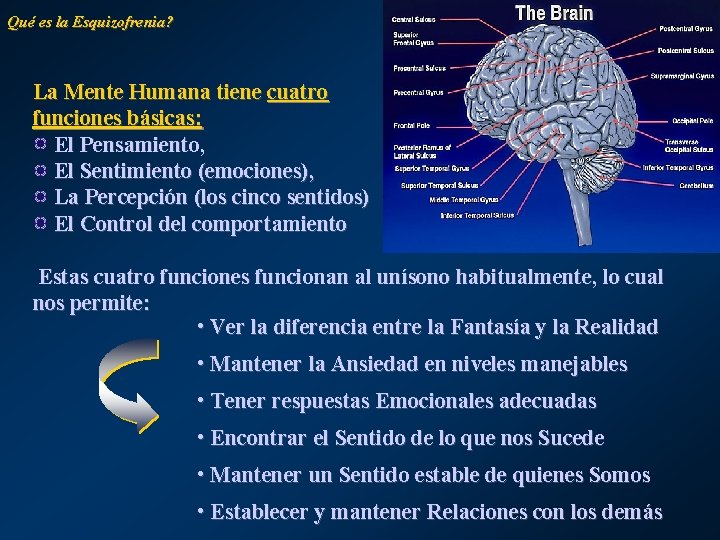 Qué es la Esquizofrenia? La Mente Humana tiene cuatro funciones básicas: El Pensamiento, El