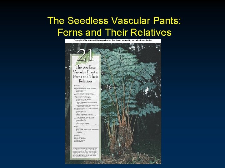 The Seedless Vascular Pants: Ferns and Their Relatives The Seedless Vascular Pants: Ferns and Their Relatives