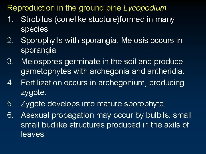 Reproduction in the ground pine Lycopodium 1. Strobilus (conelike stucture)formed in many species. 2. Reproduction in the ground pine Lycopodium 1. Strobilus (conelike stucture)formed in many species. 2.