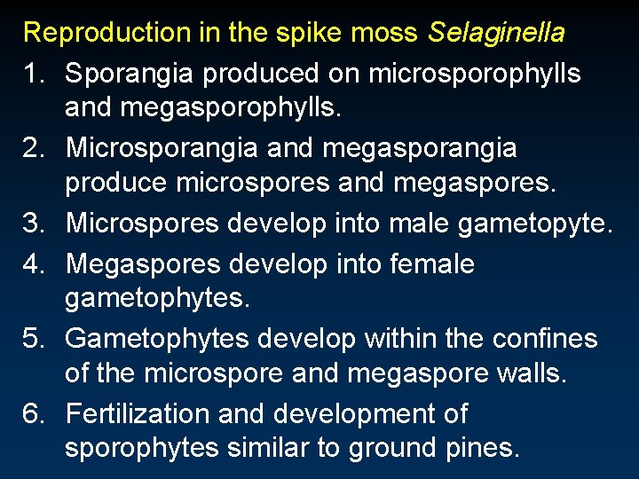Reproduction in the spike moss Selaginella 1. Sporangia produced on microsporophylls and megasporophylls. 2. Reproduction in the spike moss Selaginella 1. Sporangia produced on microsporophylls and megasporophylls. 2.
