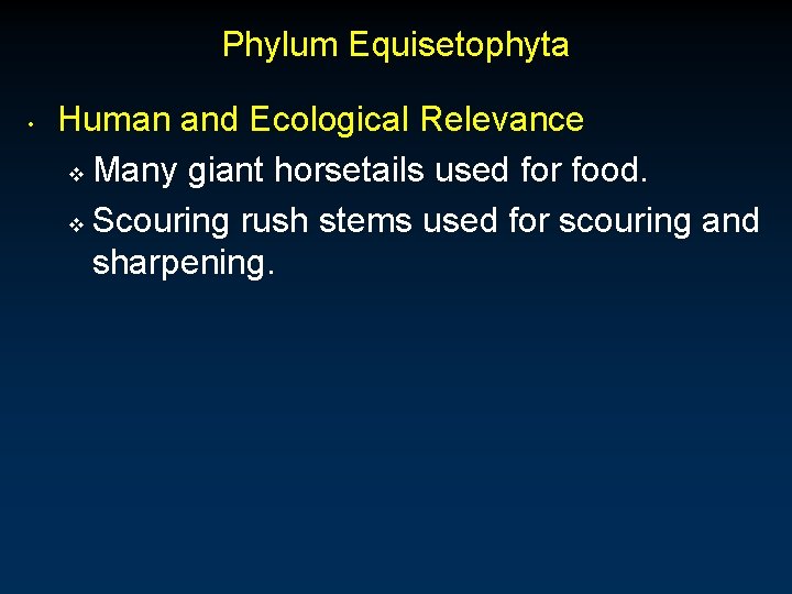 Phylum Equisetophyta • Human and Ecological Relevance v Many giant horsetails used for food. Phylum Equisetophyta • Human and Ecological Relevance v Many giant horsetails used for food.