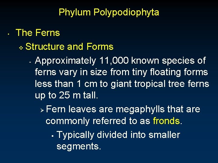Phylum Polypodiophyta • The Ferns v Structure and Forms - Approximately 11, 000 known Phylum Polypodiophyta • The Ferns v Structure and Forms - Approximately 11, 000 known