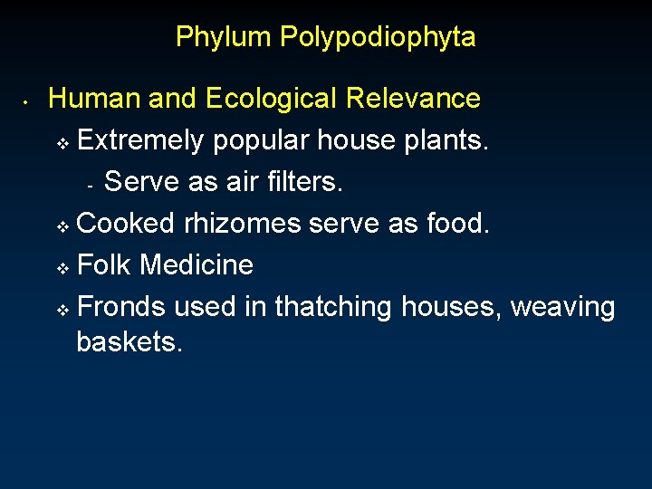 Phylum Polypodiophyta • Human and Ecological Relevance v Extremely popular house plants. - Serve Phylum Polypodiophyta • Human and Ecological Relevance v Extremely popular house plants. - Serve