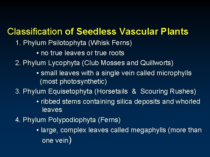 Classification of Seedless Vascular Plants 1. Phylum Psilotophyta (Whisk Ferns) • no true leaves Classification of Seedless Vascular Plants 1. Phylum Psilotophyta (Whisk Ferns) • no true leaves