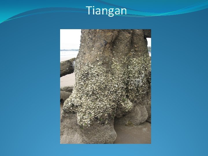 Tiangan 