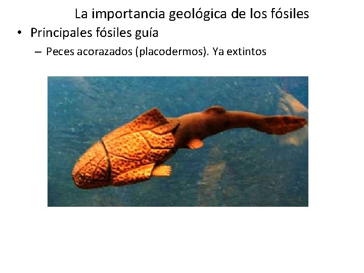 La importancia geológica de los fósiles • Principales fósiles guía – Peces acorazados (placodermos). La importancia geológica de los fósiles • Principales fósiles guía – Peces acorazados (placodermos).