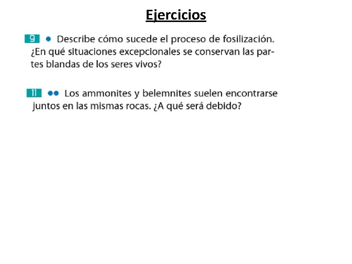 Ejercicios Ejercicios