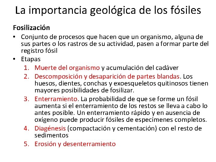 La importancia geológica de los fósiles Fosilización • Conjunto de procesos que hacen que La importancia geológica de los fósiles Fosilización • Conjunto de procesos que hacen que