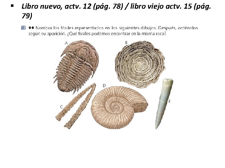 § Libro nuevo, actv. 12 (pág. 78) / libro viejo actv. 15 (pág. 79) § Libro nuevo, actv. 12 (pág. 78) / libro viejo actv. 15 (pág. 79)