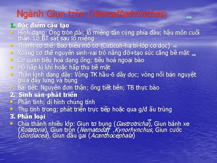 Ngành Giun tròn (Nemathelminthes) 1. Đặc điểm cấu tạo • Hình dạng: Ống tròn
