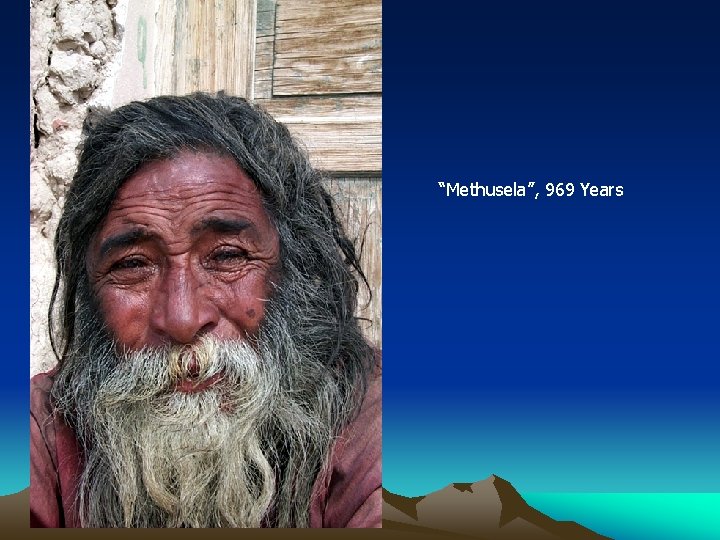 “Methusela”, 969 Years “Methusela”, 969 Years