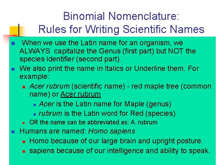 Binomial Nomenclature: Rules for Writing Scientific Names n n When we use the Latin