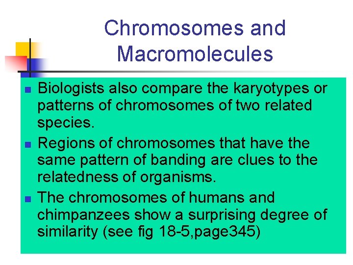 Chromosomes and Macromolecules n n n Biologists also compare the karyotypes or patterns of
