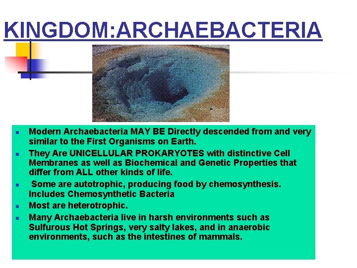 KINGDOM: ARCHAEBACTERIA n n n Modern Archaebacteria MAY BE Directly descended from and very