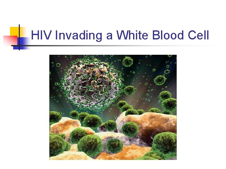 HIV Invading a White Blood Cell 