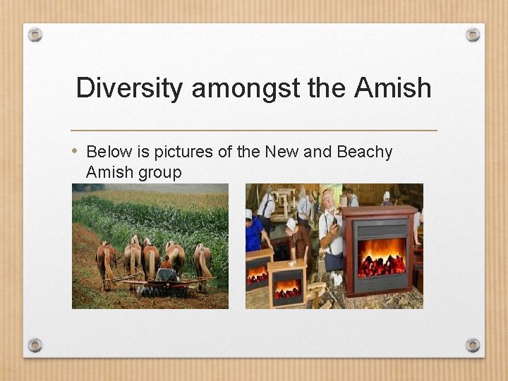 Diversity amongst the Amish • Below is pictures of the New and Beachy Amish