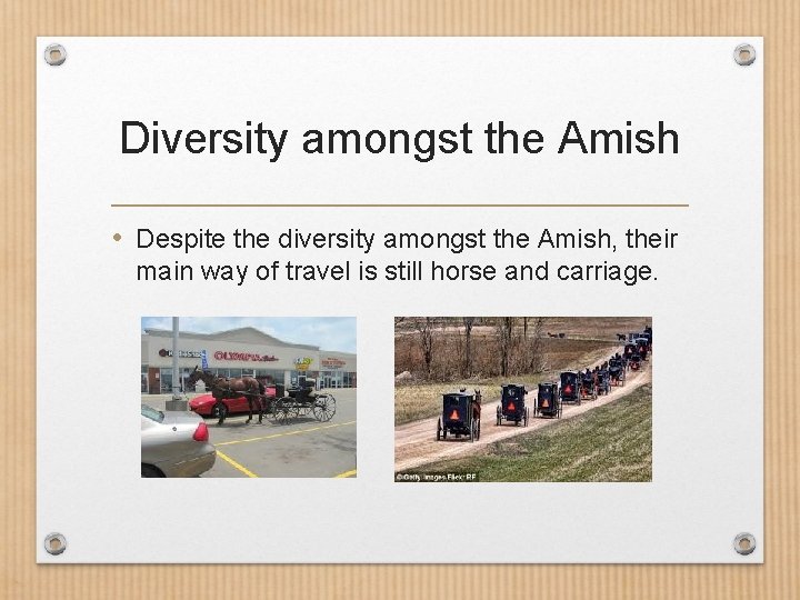 Diversity amongst the Amish • Despite the diversity amongst the Amish, their main way