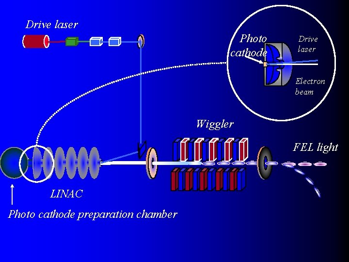 Drive laser Photo cathode Drive laser Electron beam Wiggler FEL light LINAC Photo cathode