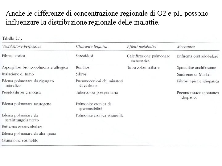 Anche le differenze di concentrazione regionale di O 2 e p. H possono influenzare Anche le differenze di concentrazione regionale di O 2 e p. H possono influenzare
