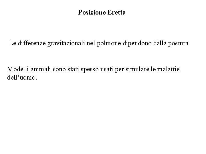 Posizione Eretta Le differenze gravitazionali nel polmone dipendono dalla postura. Modelli animali sono stati