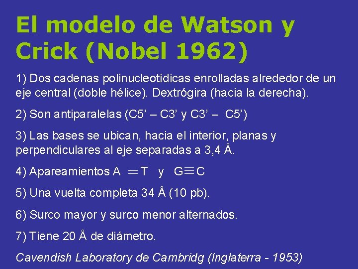 El modelo de Watson y Crick (Nobel 1962) 1) Dos cadenas polinucleotídicas enrolladas alrededor