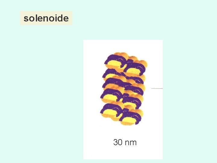 solenoide 30 nm 