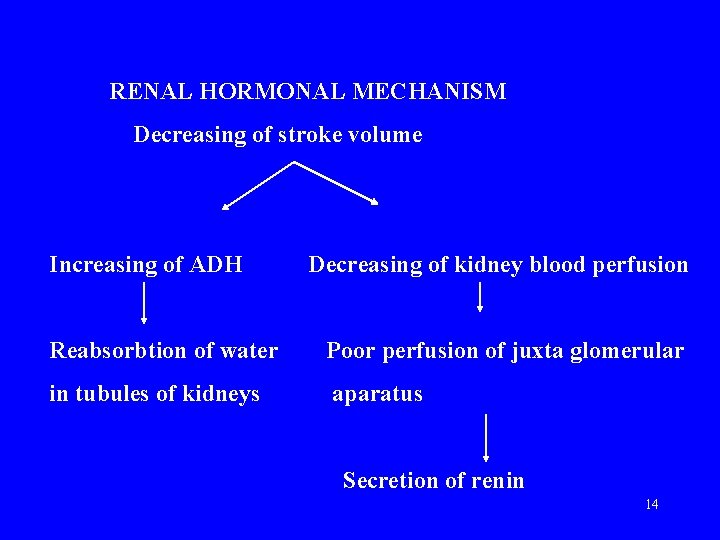 RENAL HORMONAL MECHANISM Decreasing of stroke volume Increasing of ADH Decreasing of kidney blood