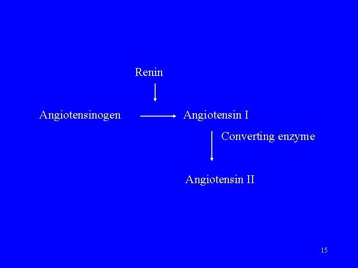 Renin Angiotensinogen Angiotensin I Converting enzyme Angiotensin II 15 