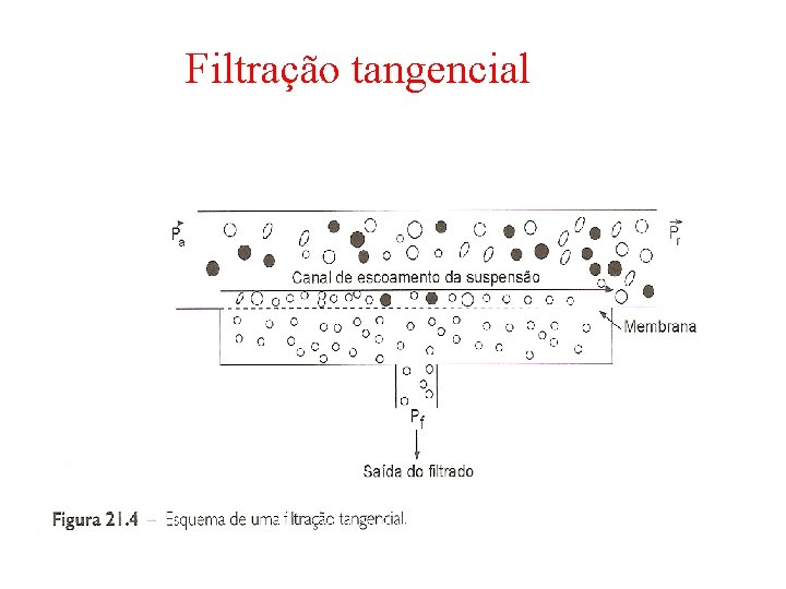PROCESSOS DE SEPARAO POR MEMBRANAS Servem tanto para