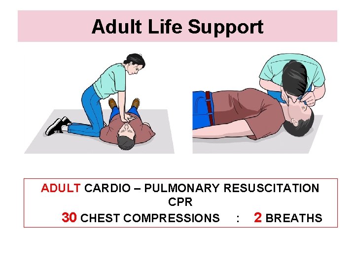 Adult Life Support ADULT CARDIO – PULMONARY RESUSCITATION CPR 30 CHEST COMPRESSIONS : 2