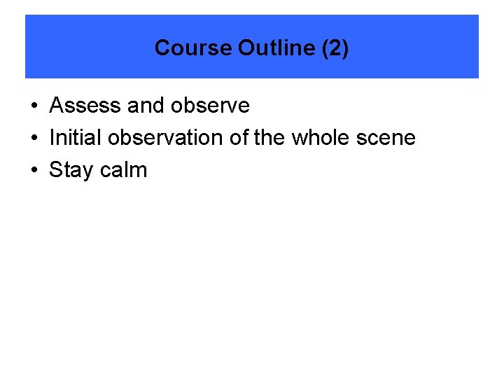 Course Outline (2) • Assess and observe • Initial observation of the whole scene