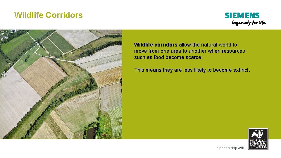 Wildlife Corridors Wildlife corridors allow the natural world to move from one area to