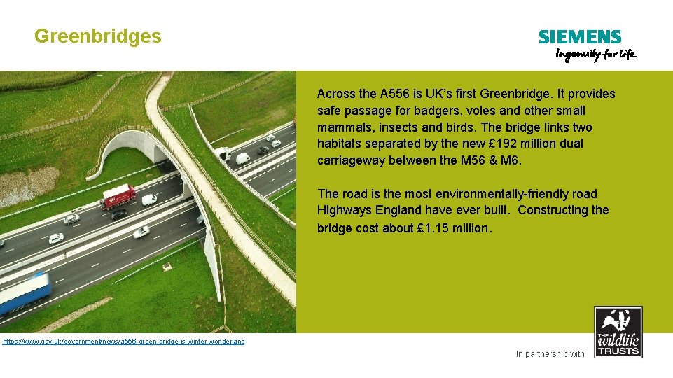 Greenbridges Across the A 556 is UK’s first Greenbridge. It provides safe passage for