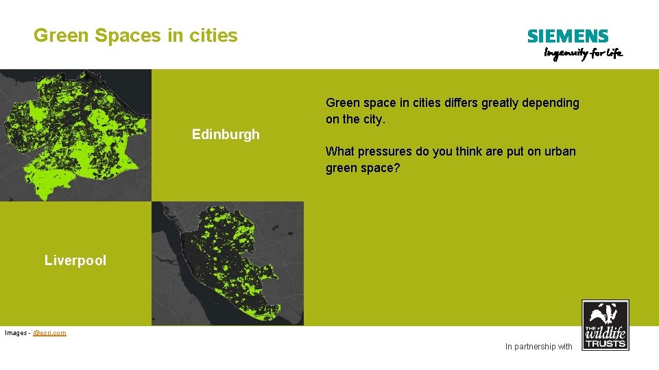 Green Spaces in cities Green space in cities differs greatly depending on the city.