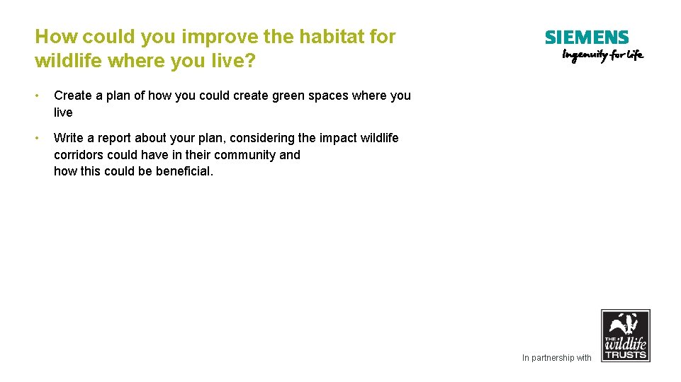 How could you improve the habitat for wildlife where you live? • Create a