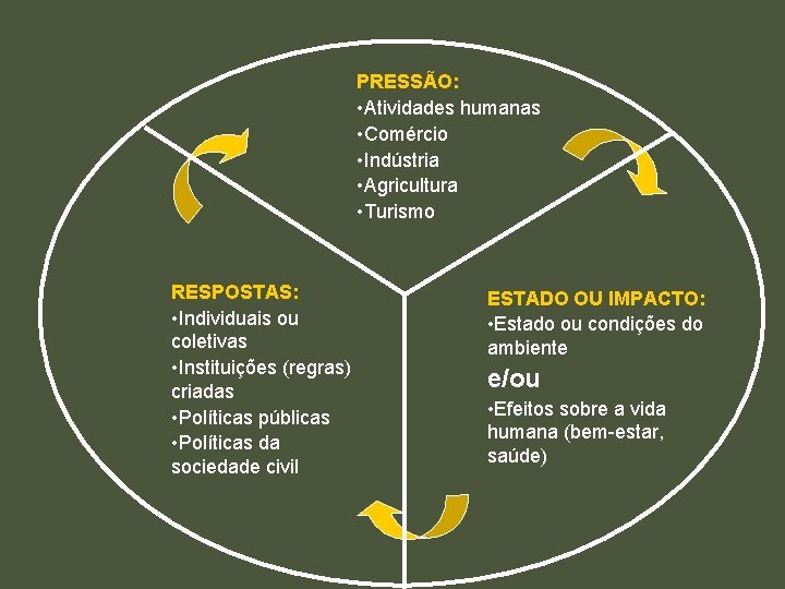 PRESSÃO: • Atividades humanas • Comércio • Indústria • Agricultura • Turismo RESPOSTAS: •