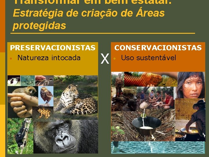 Transformar em bem estatal: Estratégia de criação de Áreas protegidas PRESERVACIONISTAS • Natureza intocada