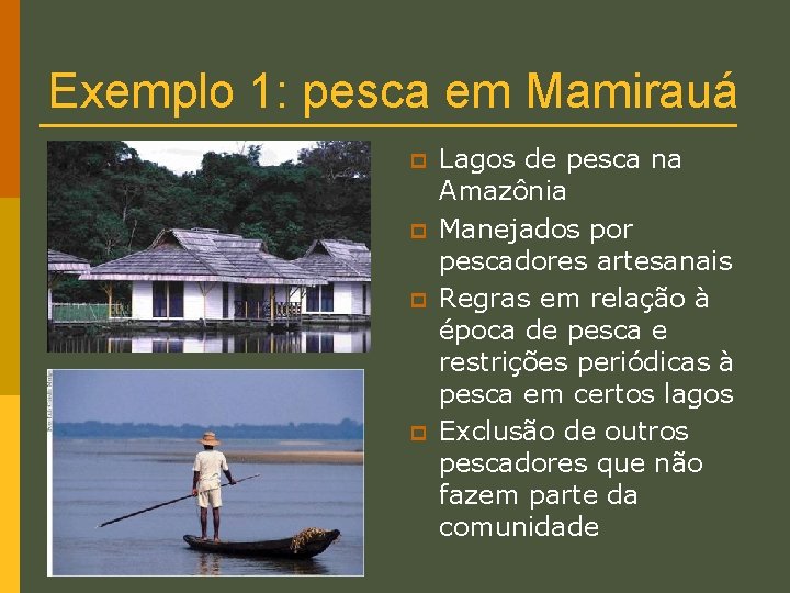 Exemplo 1: pesca em Mamirauá p p Lagos de pesca na Amazônia Manejados por