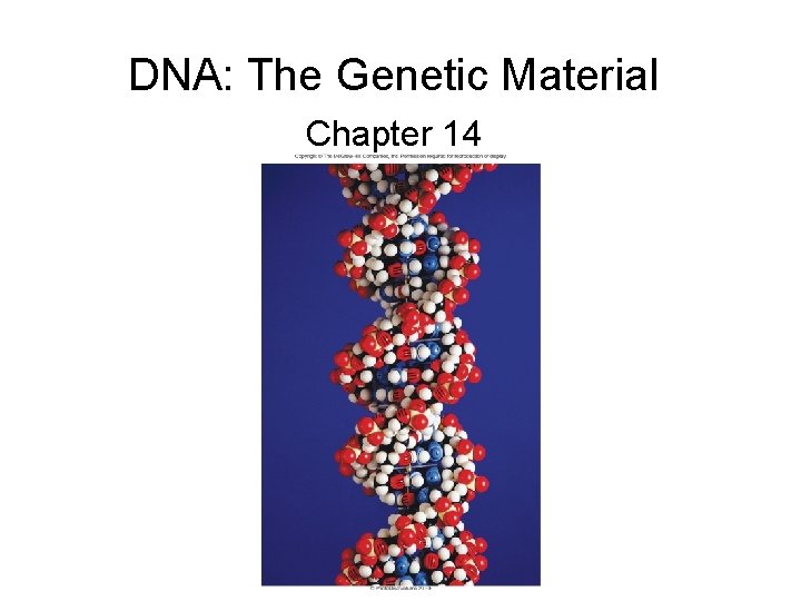 DNA: The Genetic Material Chapter 14 