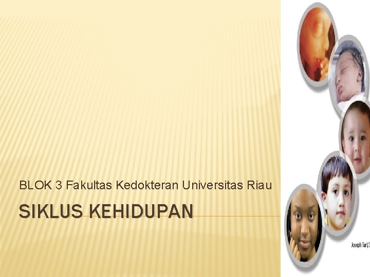 BLOK 3 Fakultas Kedokteran Universitas Riau SIKLUS KEHIDUPAN 