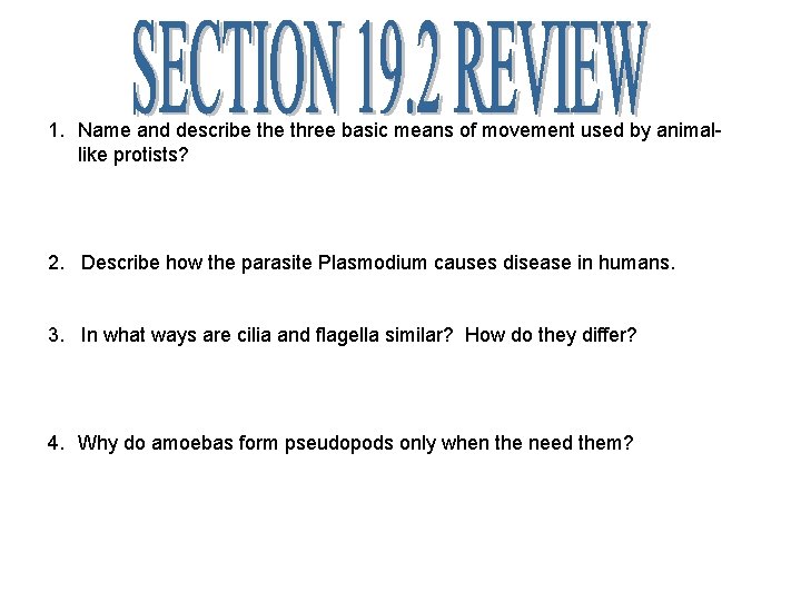 1. Name and describe three basic means of movement used by animallike protists? 2.