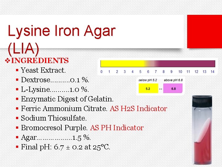 Lysine Iron Agar (LIA) v. INGREDIENTS § Yeast Extract. § Dextrose. . 0. 1