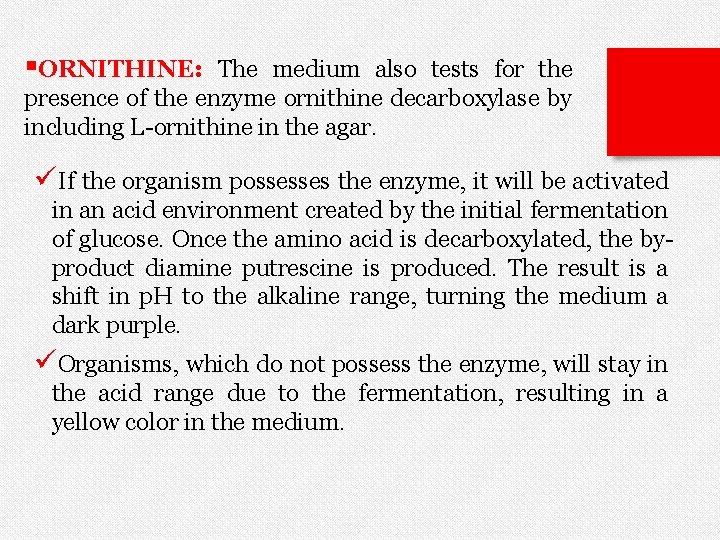 §ORNITHINE: The medium also tests for the presence of the enzyme ornithine decarboxylase by