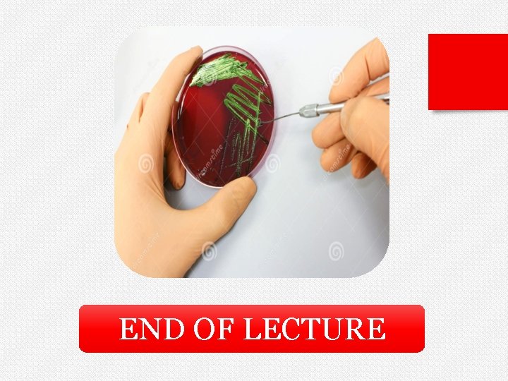 END OF LECTURE 