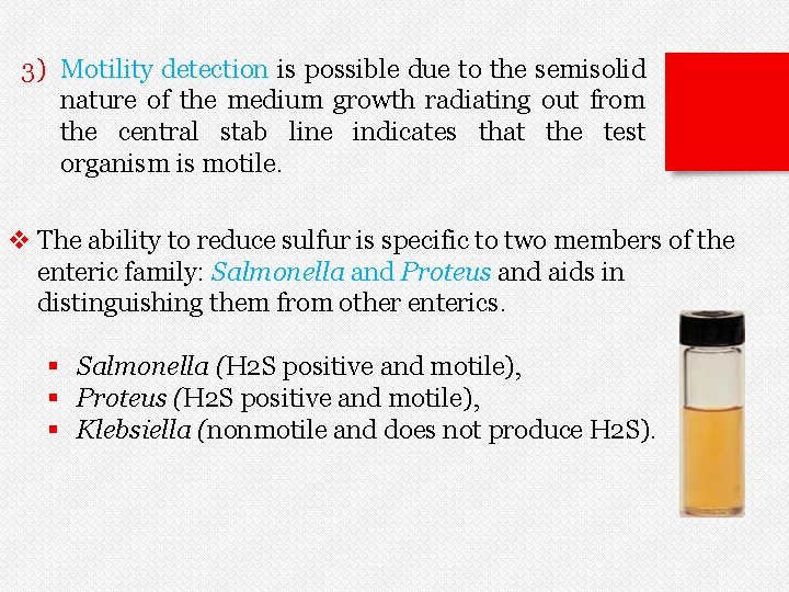 3) Motility detection is possible due to the semisolid nature of the medium growth