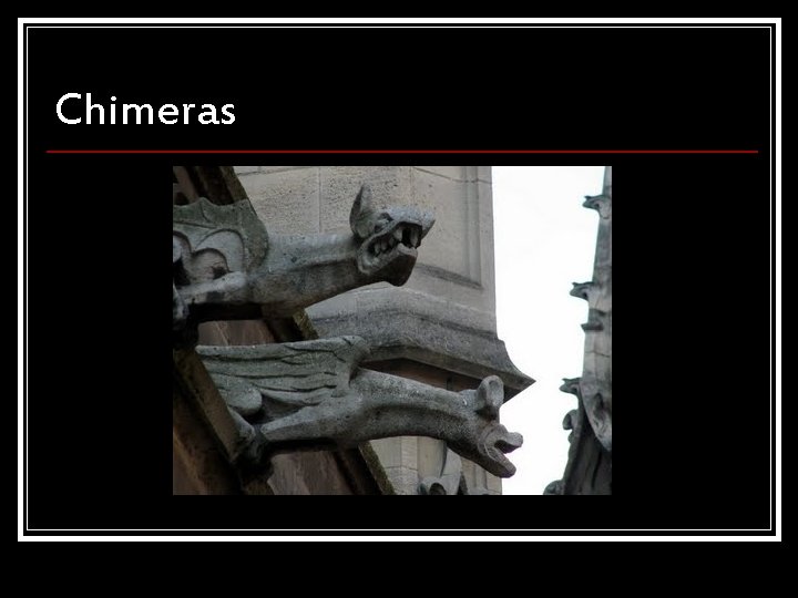 Chimeras 