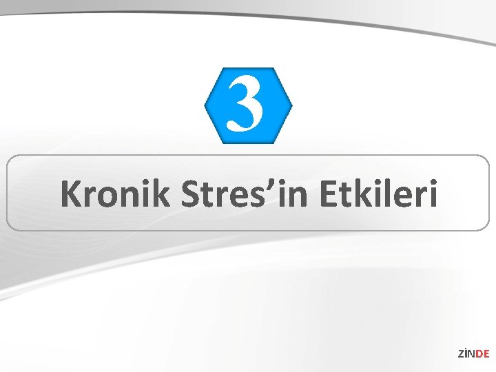 3 Kronik Stres’in Etkileri ZİNDE 