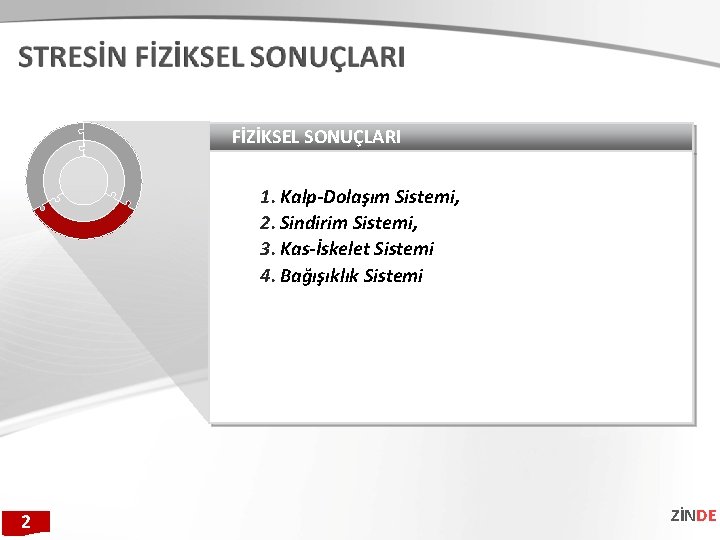 FİZİKSEL SONUÇLARI 1. Kalp-Dolaşım Sistemi, 2. Sindirim Sistemi, 3. Kas-İskelet Sistemi 4. Bağışıklık Sistemi