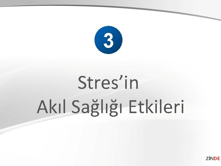 3 Stres’in Akıl Sağlığı Etkileri ZİNDE 